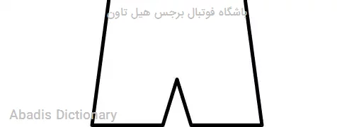 باشگاه فوتبال برجس هیل تاون